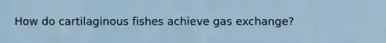 How do cartilaginous fishes achieve gas exchange?