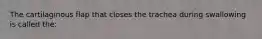 The cartilaginous flap that closes the trachea during swallowing is called the: