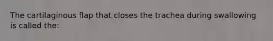 The cartilaginous flap that closes the trachea during swallowing is called the: