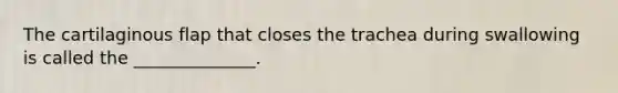 The cartilaginous flap that closes the trachea during swallowing is called the ______________.