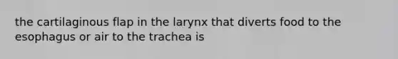 the cartilaginous flap in the larynx that diverts food to the esophagus or air to the trachea is