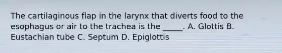 The cartilaginous flap in the larynx that diverts food to the esophagus or air to the trachea is the _____. A. Glottis B. Eustachian tube C. Septum D. Epiglottis