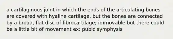 a cartilaginous joint in which the ends of the articulating bones are covered with hyaline cartilage, but the bones are connected by a broad, flat disc of fibrocartilage; immovable but there could be a little bit of movement ex: pubic symphysis