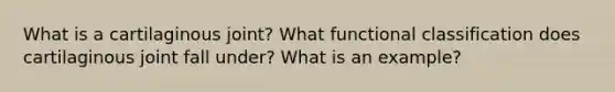 What is a cartilaginous joint? What functional classification does cartilaginous joint fall under? What is an example?