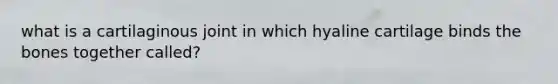 what is a cartilaginous joint in which hyaline cartilage binds the bones together called?