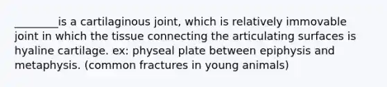 ________is a cartilaginous joint, which is relatively immovable joint in which the tissue connecting the articulating surfaces is hyaline cartilage. ex: physeal plate between epiphysis and metaphysis. (common fractures in young animals)