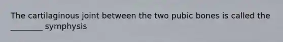 The cartilaginous joint between the two pubic bones is called the ________ symphysis