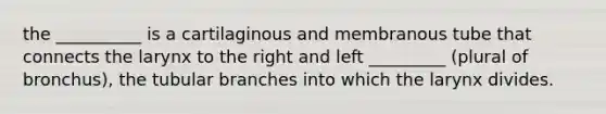 the __________ is a cartilaginous and membranous tube that connects the larynx to the right and left _________ (plural of bronchus), the tubular branches into which the larynx divides.