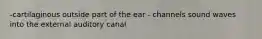 -cartilaginous outside part of the ear - channels sound waves into the external auditory canal