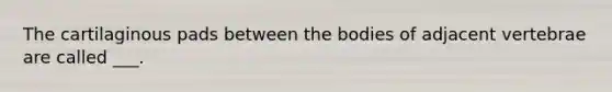 The cartilaginous pads between the bodies of adjacent vertebrae are called ___.