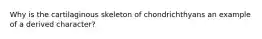 Why is the cartilaginous skeleton of chondrichthyans an example of a derived character?