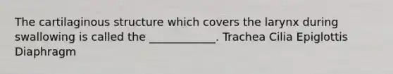The cartilaginous structure which covers the larynx during swallowing is called the ____________. Trachea Cilia Epiglottis Diaphragm