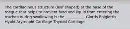 The cartilaginous structure (leaf shaped) at the base of the tongue that helps to prevent food and liquid from entering the trachea during swallowing is the __________. Glottis Epiglottis Hyoid Arytenoid Cartilage Thyroid Cartilage