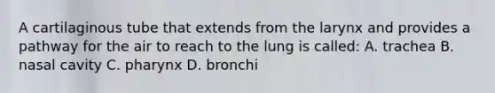 A cartilaginous tube that extends from the larynx and provides a pathway for the air to reach to the lung is called: A. trachea B. nasal cavity C. pharynx D. bronchi