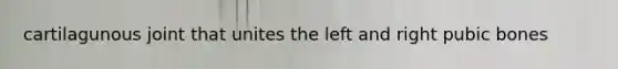 cartilagunous joint that unites the left and right pubic bones