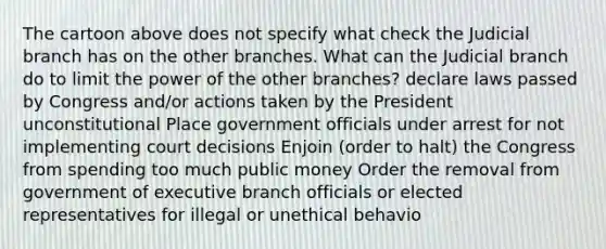 The cartoon above does not specify what check the Judicial branch has on the other branches. What can the Judicial branch do to limit the power of the other branches? declare laws passed by Congress and/or actions taken by the President unconstitutional Place government officials under arrest for not implementing court decisions Enjoin (order to halt) the Congress from spending too much public money Order the removal from government of executive branch officials or elected representatives for illegal or unethical behavio