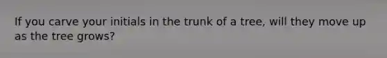 If you carve your initials in the trunk of a tree, will they move up as the tree grows?