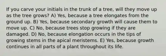 If you carve your initials in the trunk of a tree, will they move up as the tree grows? A) Yes, because a tree elongates from the ground up. B) Yes, because secondary growth will cause them to move up. C) No, because trees stop growing if they are damaged. D) No, because elongation occurs in the tips of growing stems in the apical meristems. E) Yes, because growth continues in all parts of a plant throughout its life.