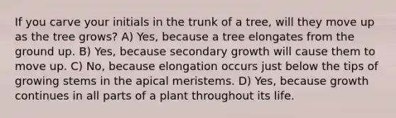 If you carve your initials in the trunk of a tree, will they move up as the tree grows? A) Yes, because a tree elongates from the ground up. B) Yes, because secondary growth will cause them to move up. C) No, because elongation occurs just below the tips of growing stems in the apical meristems. D) Yes, because growth continues in all parts of a plant throughout its life.