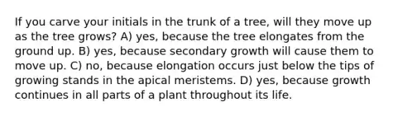 If you carve your initials in the trunk of a tree, will they move up as the tree grows? A) yes, because the tree elongates from the ground up. B) yes, because secondary growth will cause them to move up. C) no, because elongation occurs just below the tips of growing stands in the apical meristems. D) yes, because growth continues in all parts of a plant throughout its life.