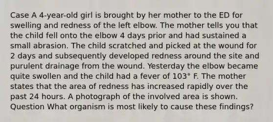 Case A 4-year-old girl is brought by her mother to the ED for swelling and redness of the left elbow. The mother tells you that the child fell onto the elbow 4 days prior and had sustained a small abrasion. The child scratched and picked at the wound for 2 days and subsequently developed redness around the site and purulent drainage from the wound. Yesterday the elbow became quite swollen and the child had a fever of 103° F. The mother states that the area of redness has increased rapidly over the past 24 hours. A photograph of the involved area is shown. Question What organism is most likely to cause these findings?