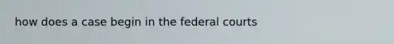 how does a case begin in the federal courts