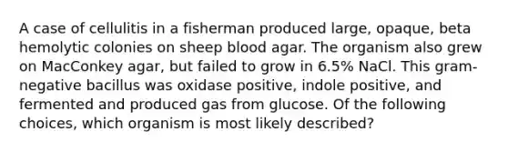 A case of cellulitis in a fisherman produced large, opaque, beta hemolytic colonies on sheep blood agar. The organism also grew on MacConkey agar, but failed to grow in 6.5% NaCl. This gram-negative bacillus was oxidase positive, indole positive, and fermented and produced gas from glucose. Of the following choices, which organism is most likely described?