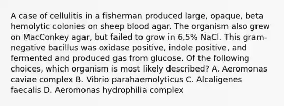 A case of cellulitis in a fisherman produced large, opaque, beta hemolytic colonies on sheep blood agar. The organism also grew on MacConkey agar, but failed to grow in 6.5% NaCl. This gram-negative bacillus was oxidase positive, indole positive, and fermented and produced gas from glucose. Of the following choices, which organism is most likely described? A. Aeromonas caviae complex B. Vibrio parahaemolyticus C. Alcaligenes faecalis D. Aeromonas hydrophilia complex