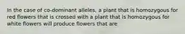 In the case of co-dominant alleles, a plant that is homozygous for red flowers that is crossed with a plant that is homozygous for white flowers will produce flowers that are