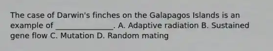 The case of Darwin's finches on the Galapagos Islands is an example of _______________. A. Adaptive radiation B. Sustained gene flow C. Mutation D. Random mating