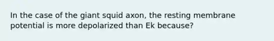 In the case of the giant squid axon, the resting membrane potential is more depolarized than Ek because?