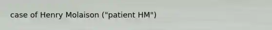 case of Henry Molaison ("patient HM")