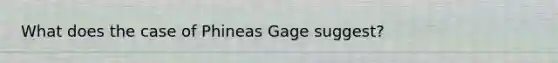 What does the case of Phineas Gage suggest?