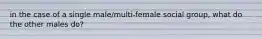 in the case of a single male/multi-female social group, what do the other males do?