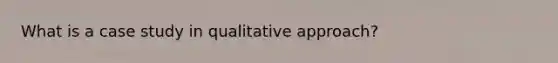 What is a case study in qualitative approach?