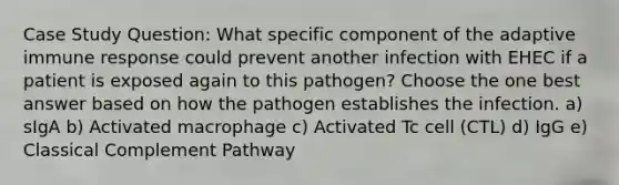 Case Study Question: What specific component of the adaptive immune response could prevent another infection with EHEC if a patient is exposed again to this pathogen? Choose the one best answer based on how the pathogen establishes the infection. a) sIgA b) Activated macrophage c) Activated Tc cell (CTL) d) IgG e) Classical Complement Pathway