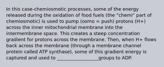 In this case-chemiosmotic processes, some of the energy released during the oxidation of food fuels (the "chemi" part of chemiosmotic) is used to pump (osmo = push) protons (H+) across the inner mitochondrial membrane into the intermembrane space. This creates a steep concentration gradient for protons across the membrane. Then, when H+ flows back across the membrane (through a membrane channel protein called ATP synthase), some of this gradient energy is captured and used to __________________groups to ADP.