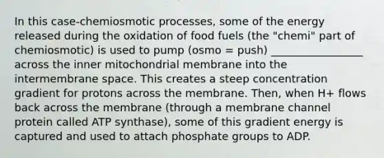 In this case-chemiosmotic processes, some of the energy released during the oxidation of food fuels (the "chemi" part of chemiosmotic) is used to pump (osmo = push) _________________ across the inner mitochondrial membrane into the intermembrane space. This creates a steep concentration gradient for protons across the membrane. Then, when H+ flows back across the membrane (through a membrane channel protein called ATP synthase), some of this gradient energy is captured and used to attach phosphate groups to ADP.