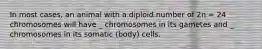 In most cases, an animal with a diploid number of 2n = 24 chromosomes will have _ chromosomes in its gametes and _ chromosomes in its somatic (body) cells.