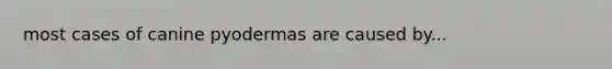 most cases of canine pyodermas are caused by...