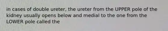 in cases of double ureter, the ureter from the UPPER pole of the kidney usually opens below and medial to the one from the LOWER pole called the