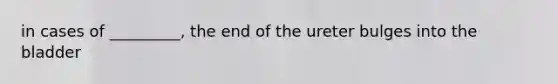 in cases of _________, the end of the ureter bulges into the bladder