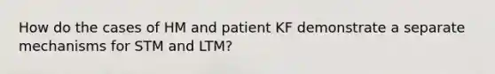 How do the cases of HM and patient KF demonstrate a separate mechanisms for STM and LTM?