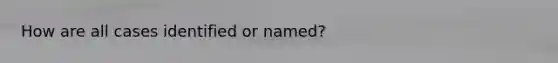 How are all cases identified or named?