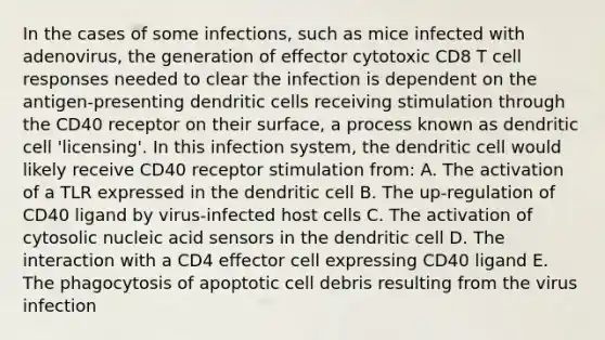 In the cases of some infections, such as mice infected with adenovirus, the generation of effector cytotoxic CD8 T cell responses needed to clear the infection is dependent on the antigen-presenting dendritic cells receiving stimulation through the CD40 receptor on their surface, a process known as dendritic cell 'licensing'. In this infection system, the dendritic cell would likely receive CD40 receptor stimulation from: A. The activation of a TLR expressed in the dendritic cell B. The up-regulation of CD40 ligand by virus-infected host cells C. The activation of cytosolic nucleic acid sensors in the dendritic cell D. The interaction with a CD4 effector cell expressing CD40 ligand E. The phagocytosis of apoptotic cell debris resulting from the virus infection