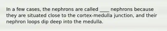 In a few cases, the nephrons are called ____ nephrons because they are situated close to the cortex-medulla junction, and their nephron loops dip deep into the medulla.