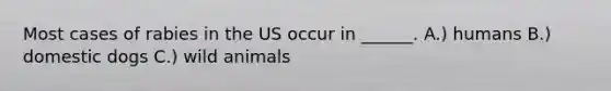 Most cases of rabies in the US occur in ______. A.) humans B.) domestic dogs C.) wild animals