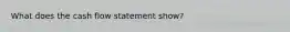 What does the cash flow statement show?