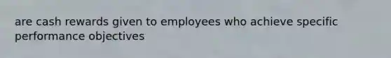 are cash rewards given to employees who achieve specific performance objectives