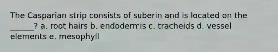 The Casparian strip consists of suberin and is located on the ______? a. root hairs b. endodermis c. tracheids d. vessel elements e. mesophyll